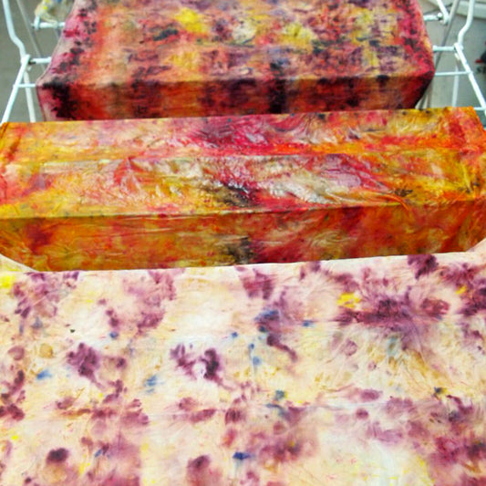 Dyeing with Nature Workshop