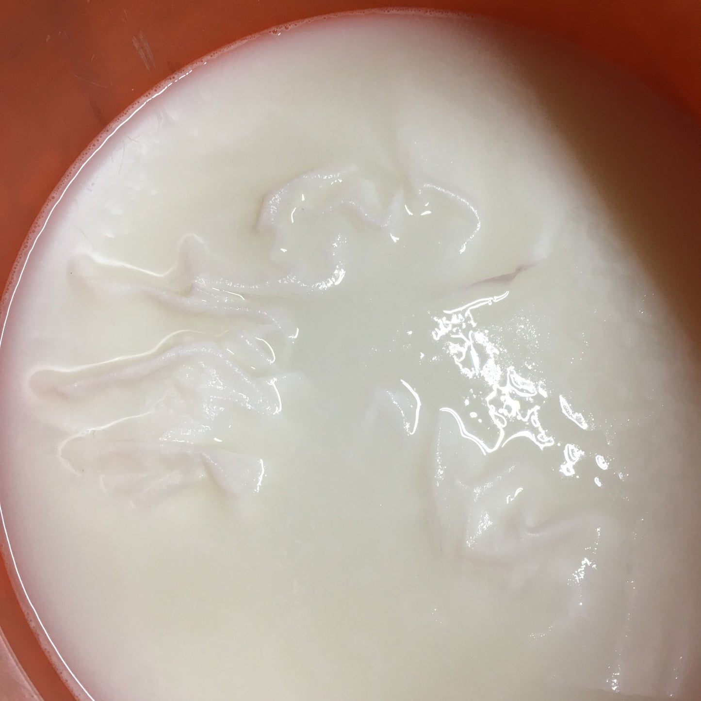 NEW! Printing with Natural Dyes