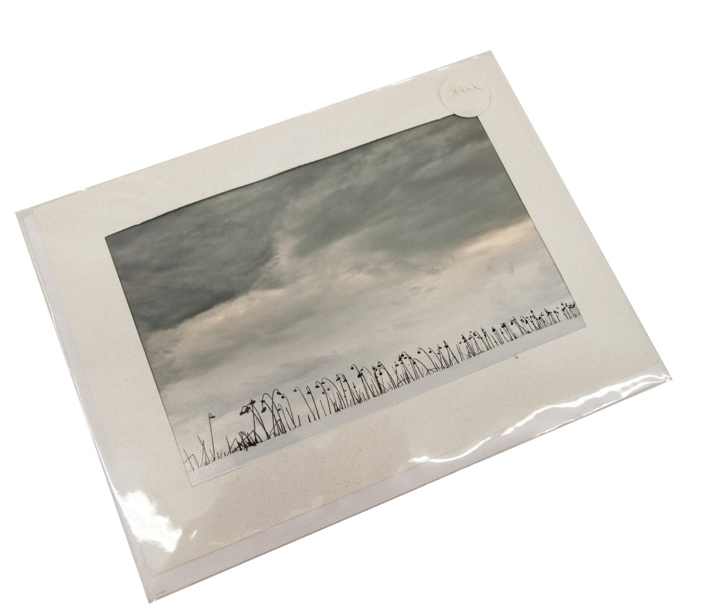 Sunflower Landscape Photograph Card
