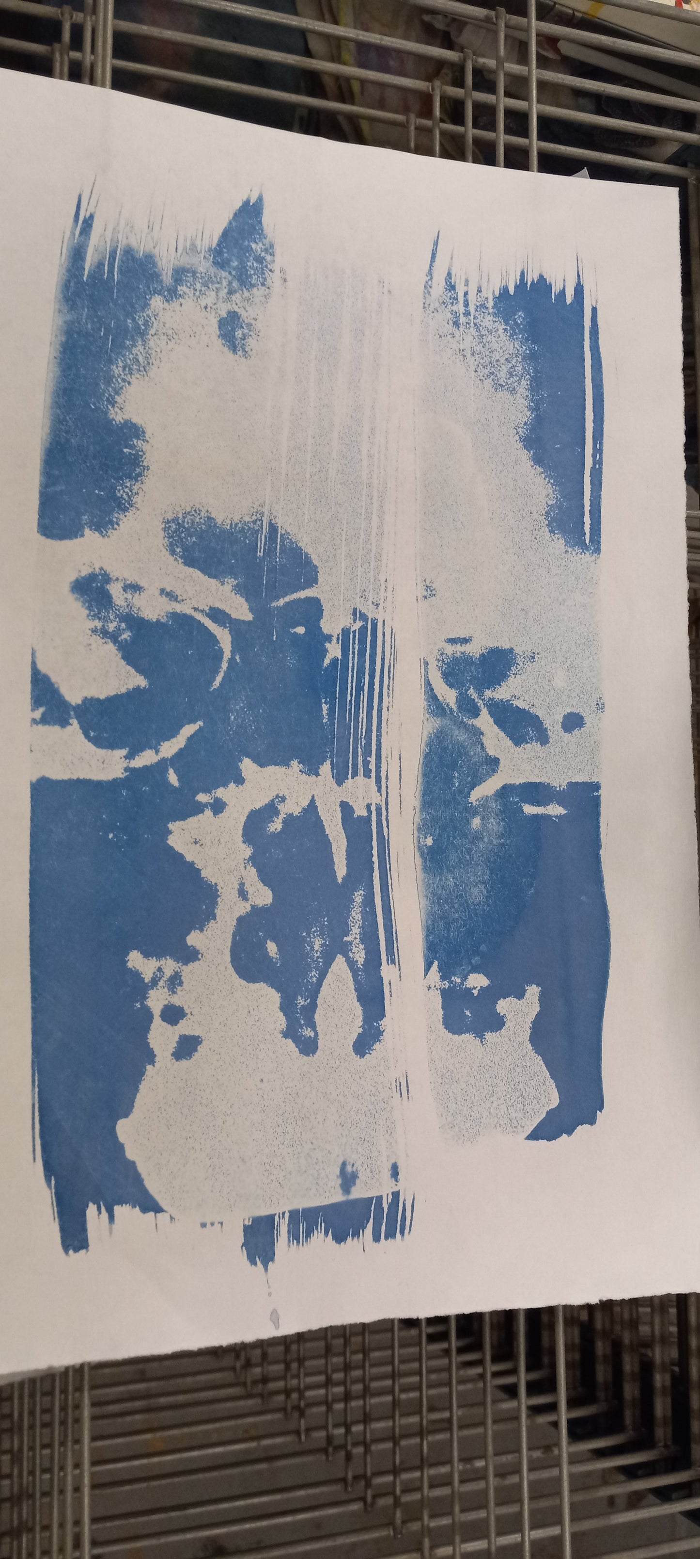Cyanotype Workshop