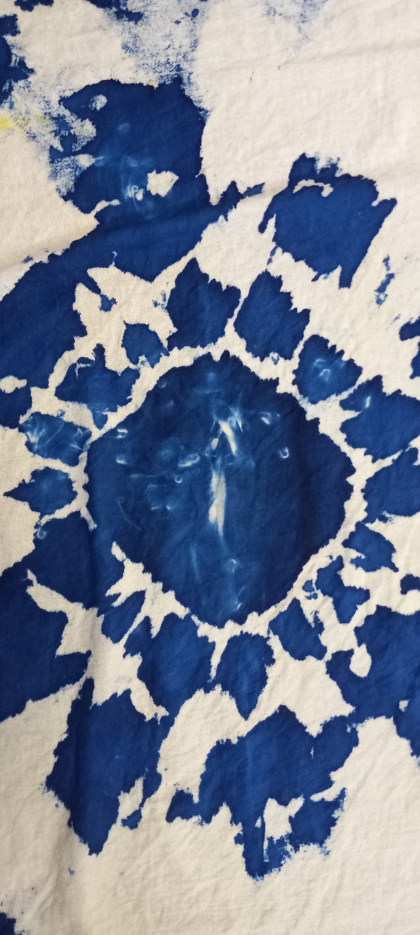 Cyanotype Workshop