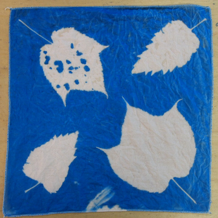 Cyanotype Workshop