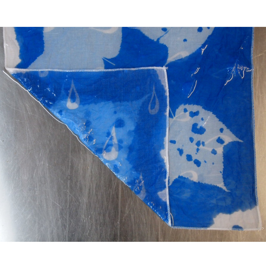 Cyanotype Workshop