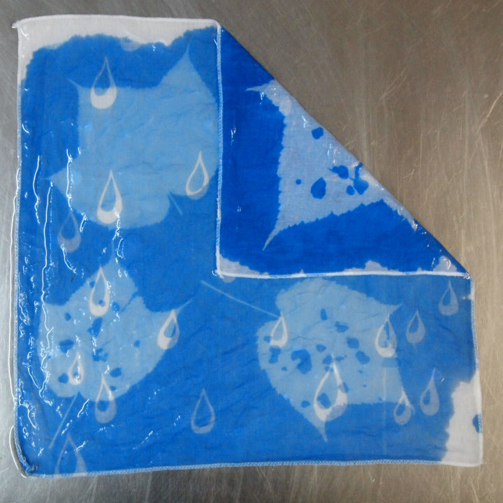 Cyanotype Workshop