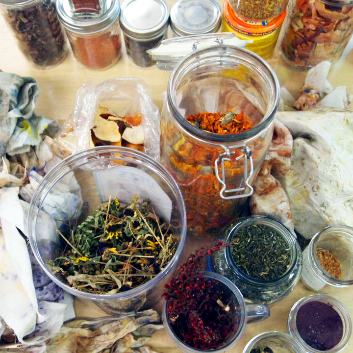 Dyeing with Nature Workshop