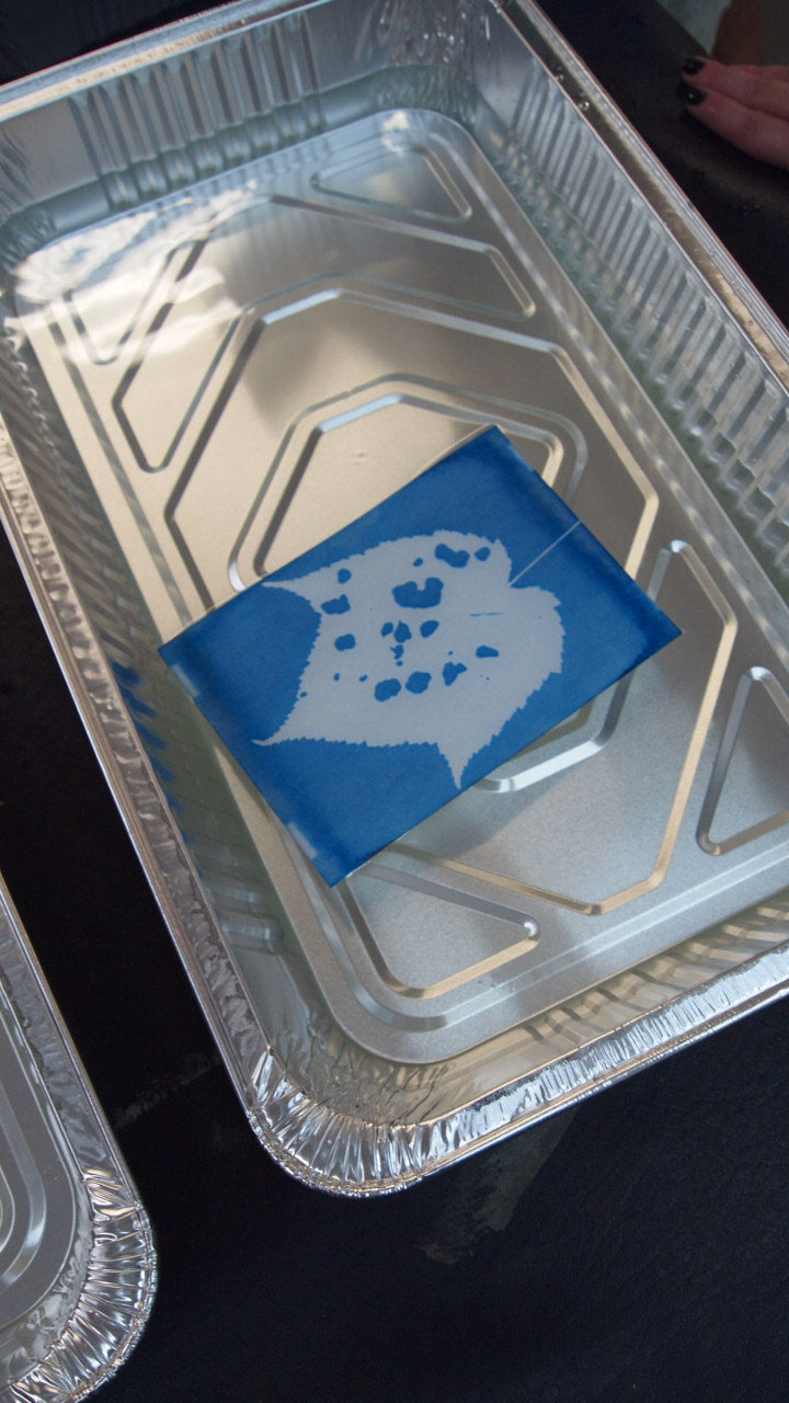 Cyanotype Workshop