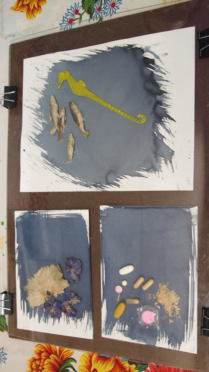 Cyanotype Workshop
