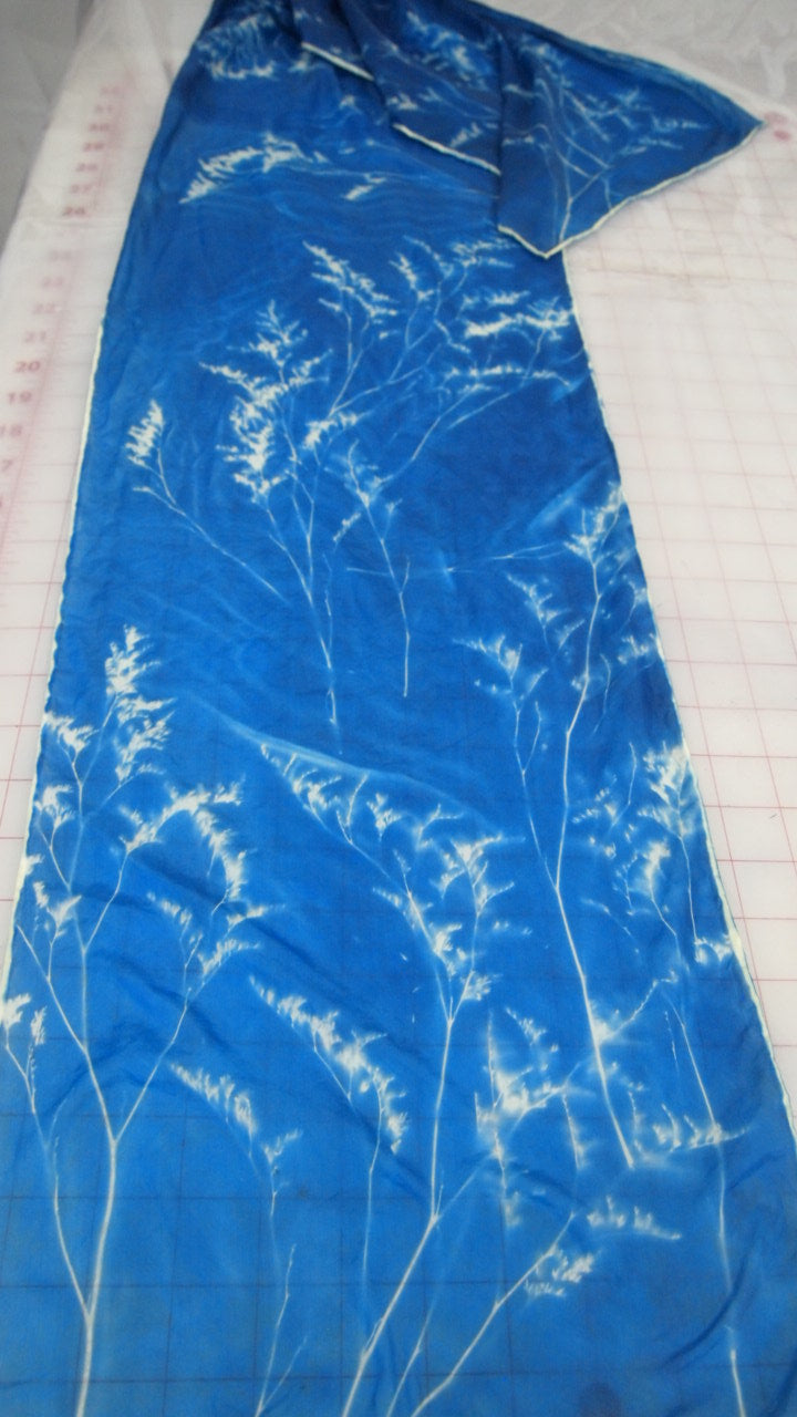 Cyanotype Workshop