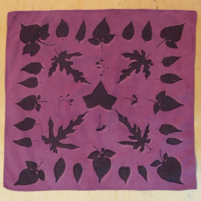NEW! Printing with Natural Dyes