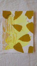 Load image into Gallery viewer, Test Prints SALE!