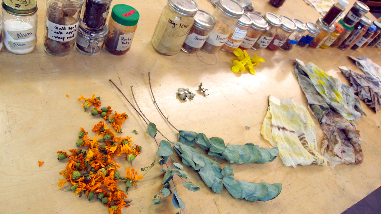 Bundle Dyeing with Floral, Fauna, Food, and Rust