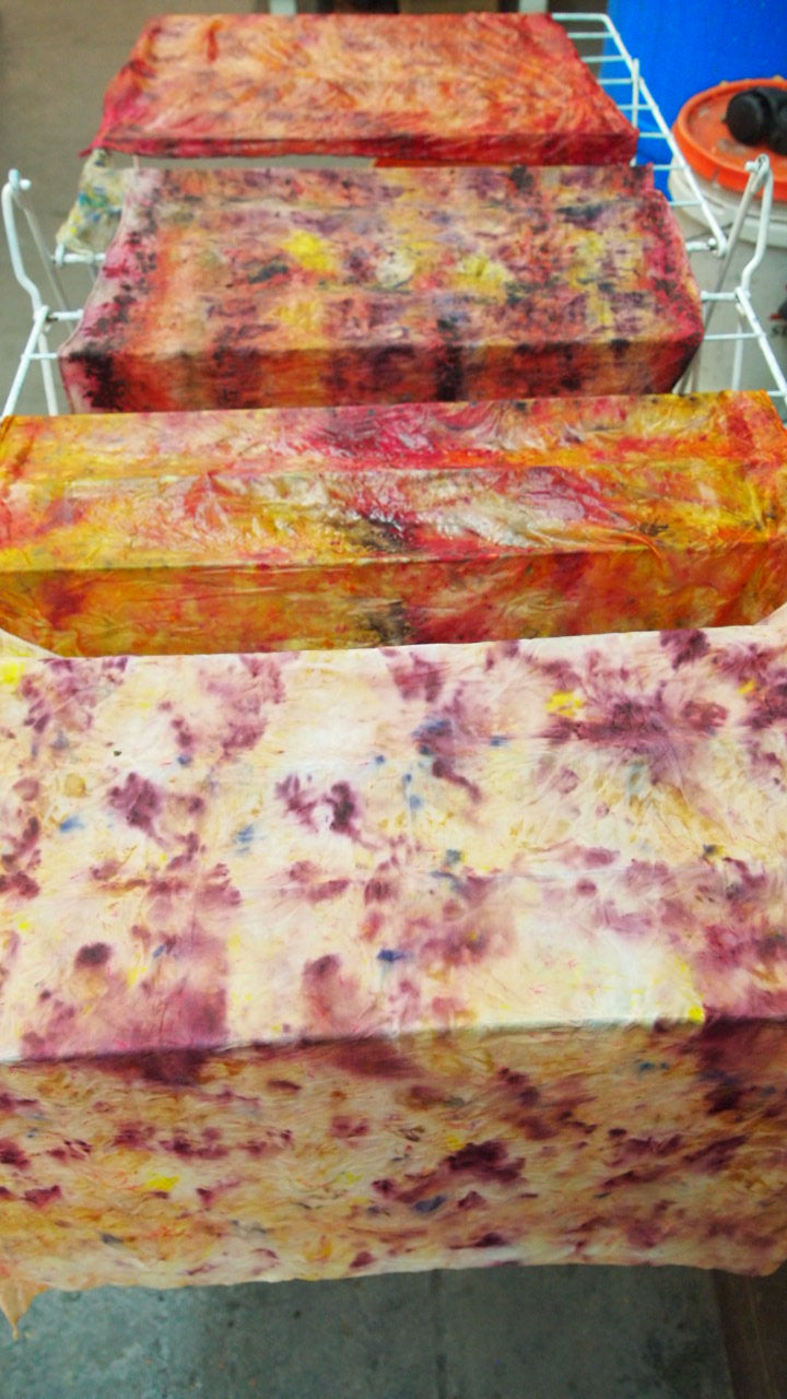 Bundle Dyeing with Floral, Fauna, Food, and Rust