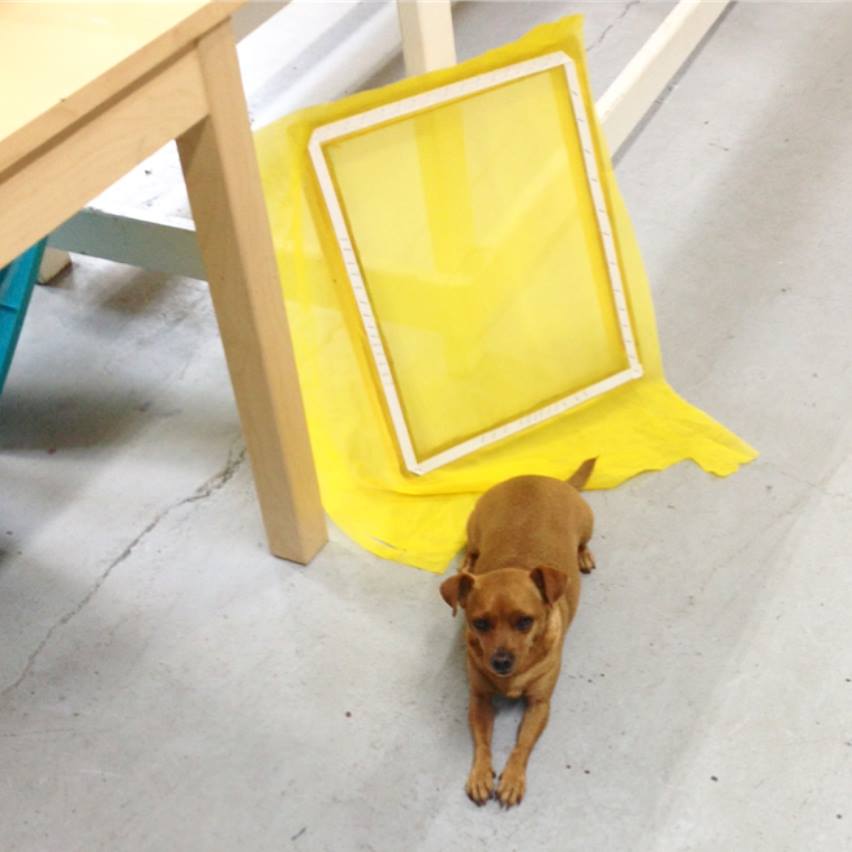 Silkscreen Learn ALL Private Workshop