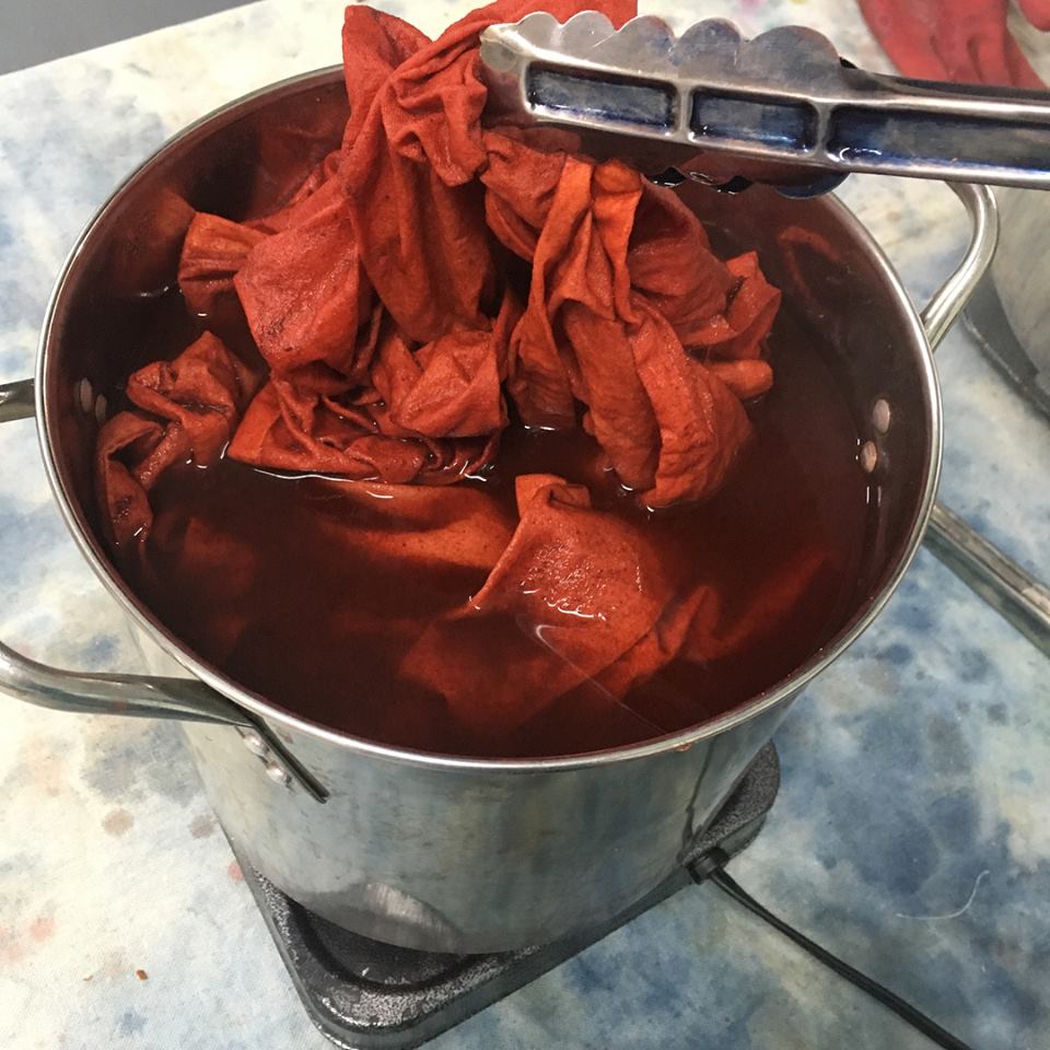 Dyeing with Nature Workshop