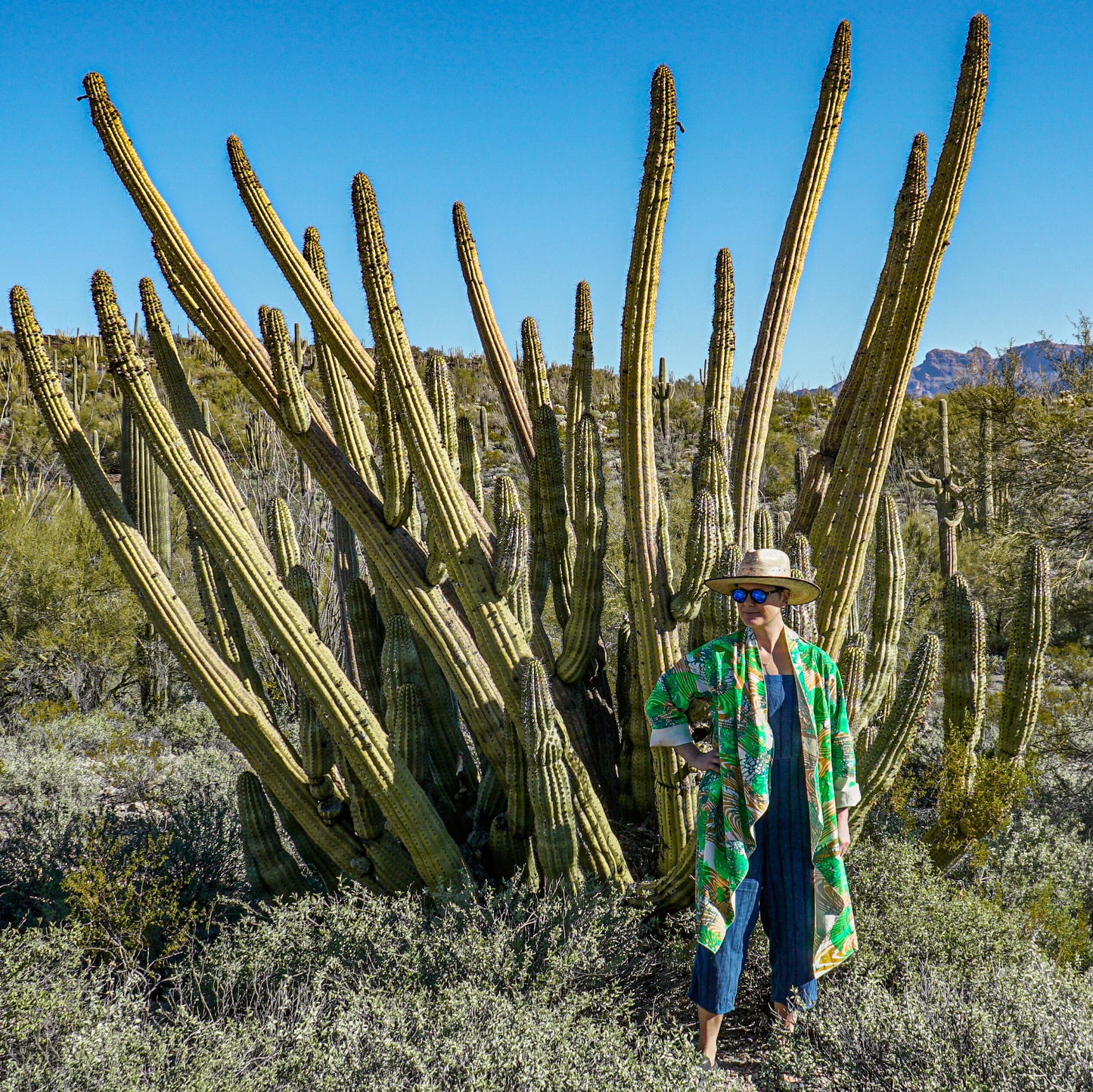 DUSTER: hand dyed black linen/cotton printed with purple and faint red