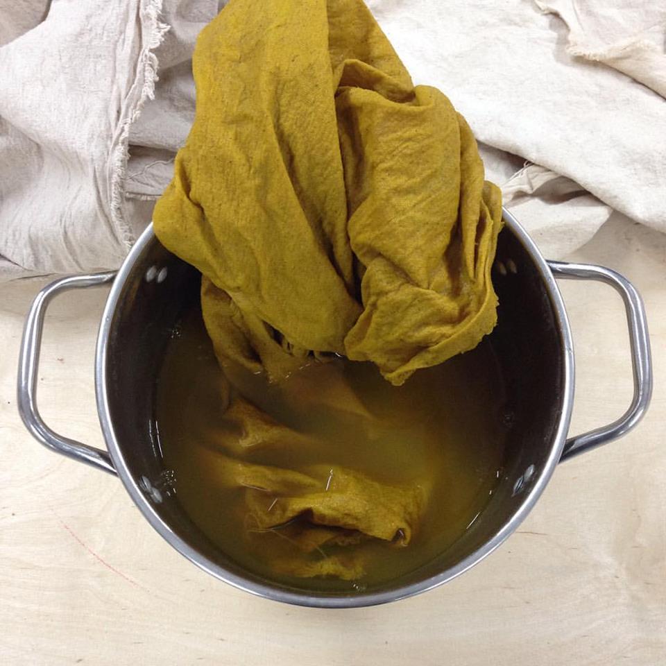 Intensive Natural Dyes Workshop; 2 day Series