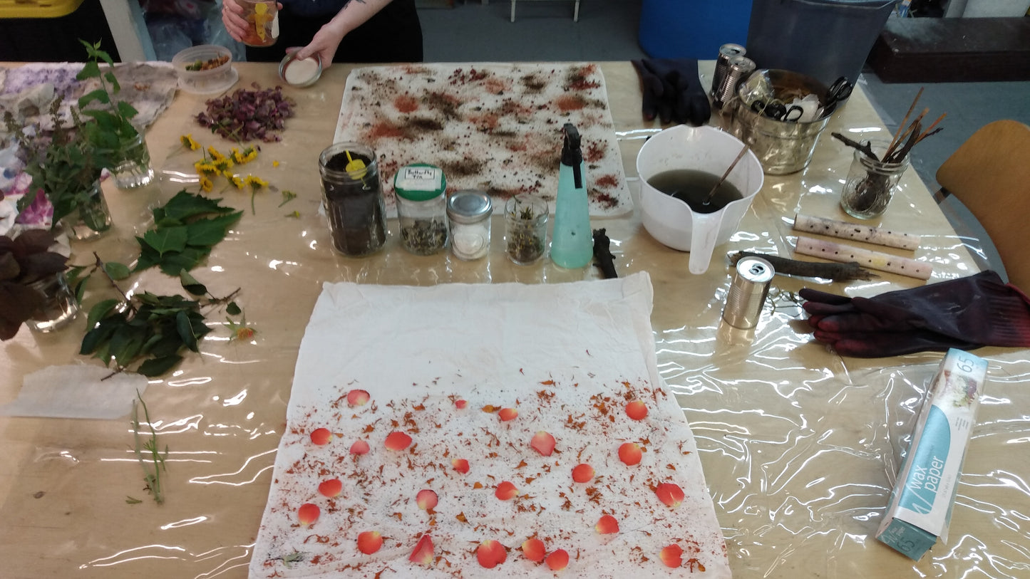 Bundle Dyeing with Floral, Fauna, Food, and Rust