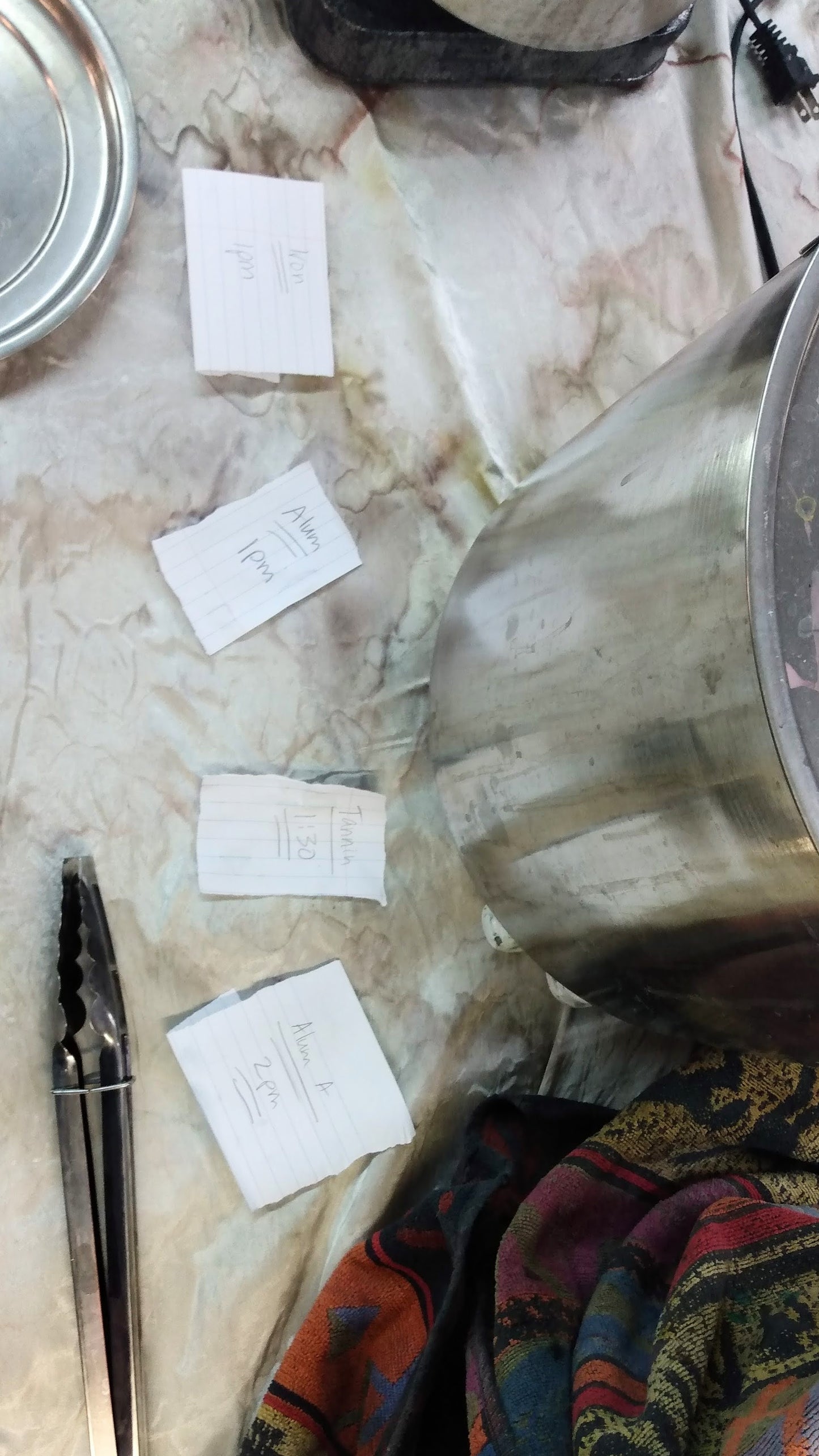 Intensive Natural Dyes Workshop; 2 day Series