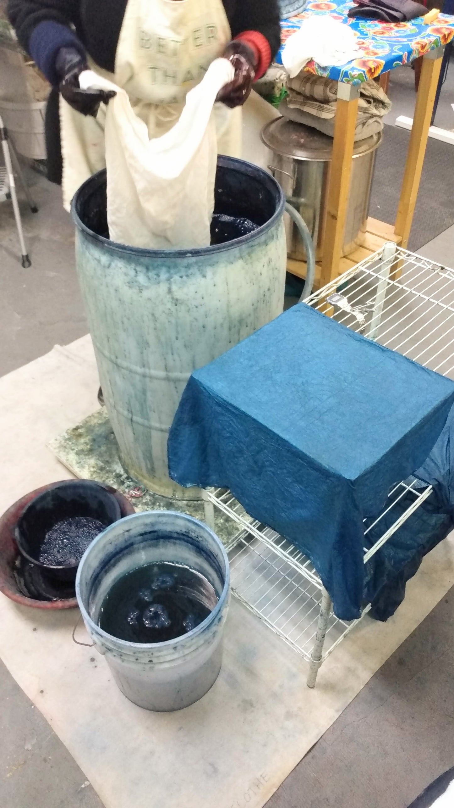Intensive Natural Dyes Workshop; 2 day Series