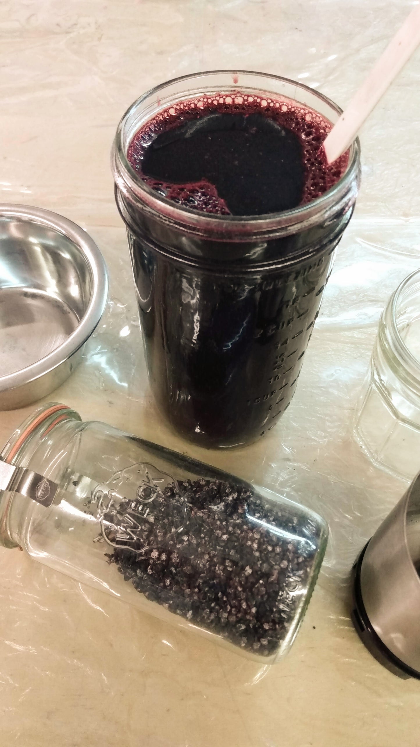 Intensive Natural Dyes Workshop; 2 day Series