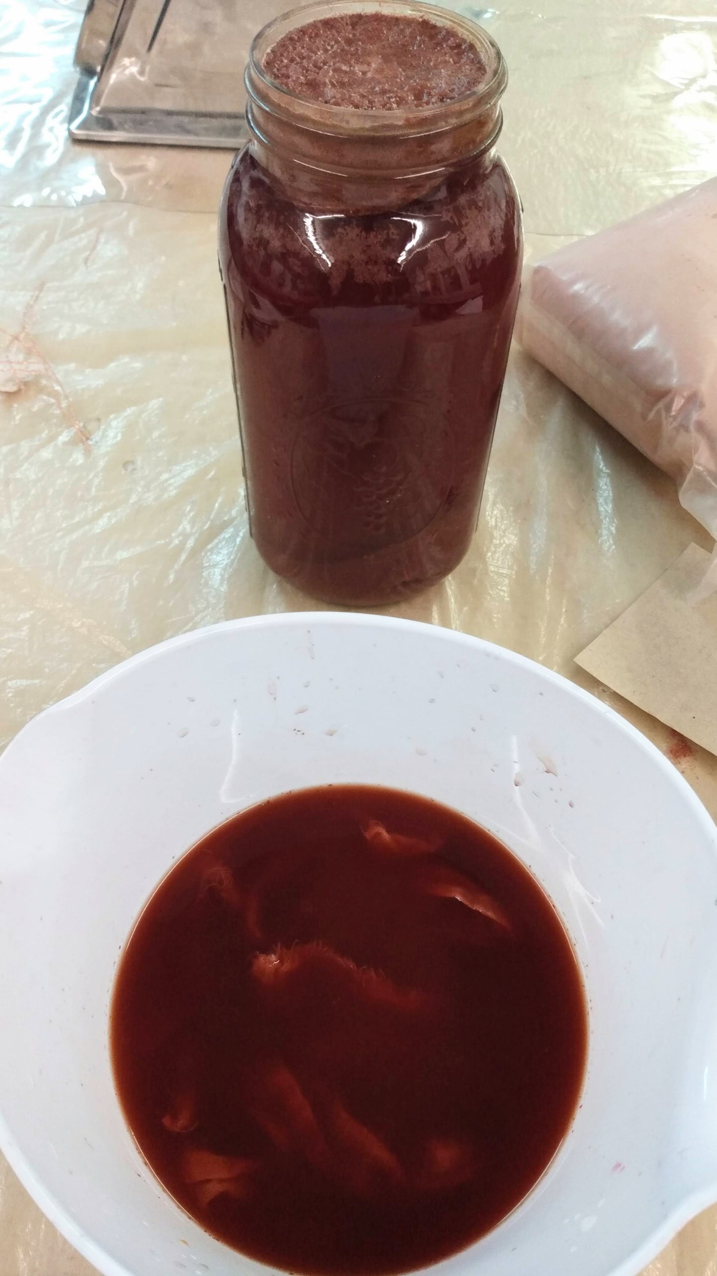 Intensive Natural Dyes Workshop; 2 day Series