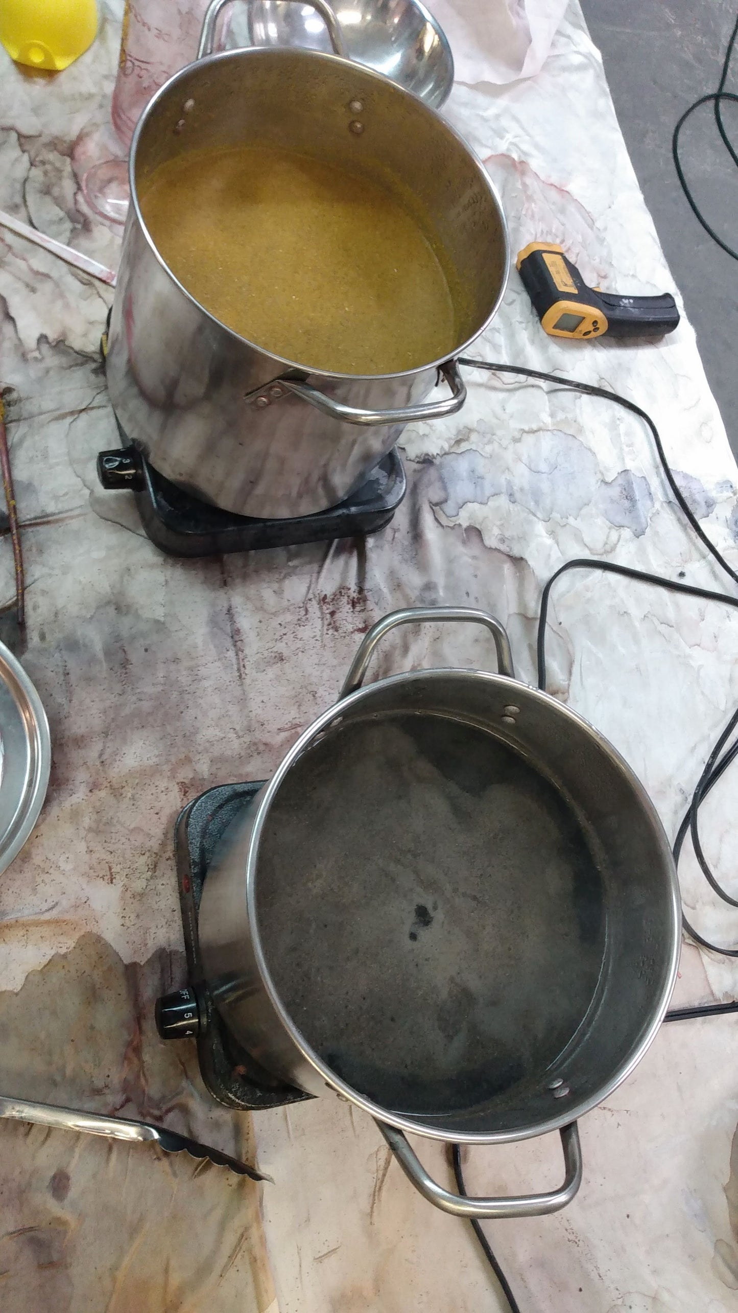 Intensive Natural Dyes Workshop; 2 day Series