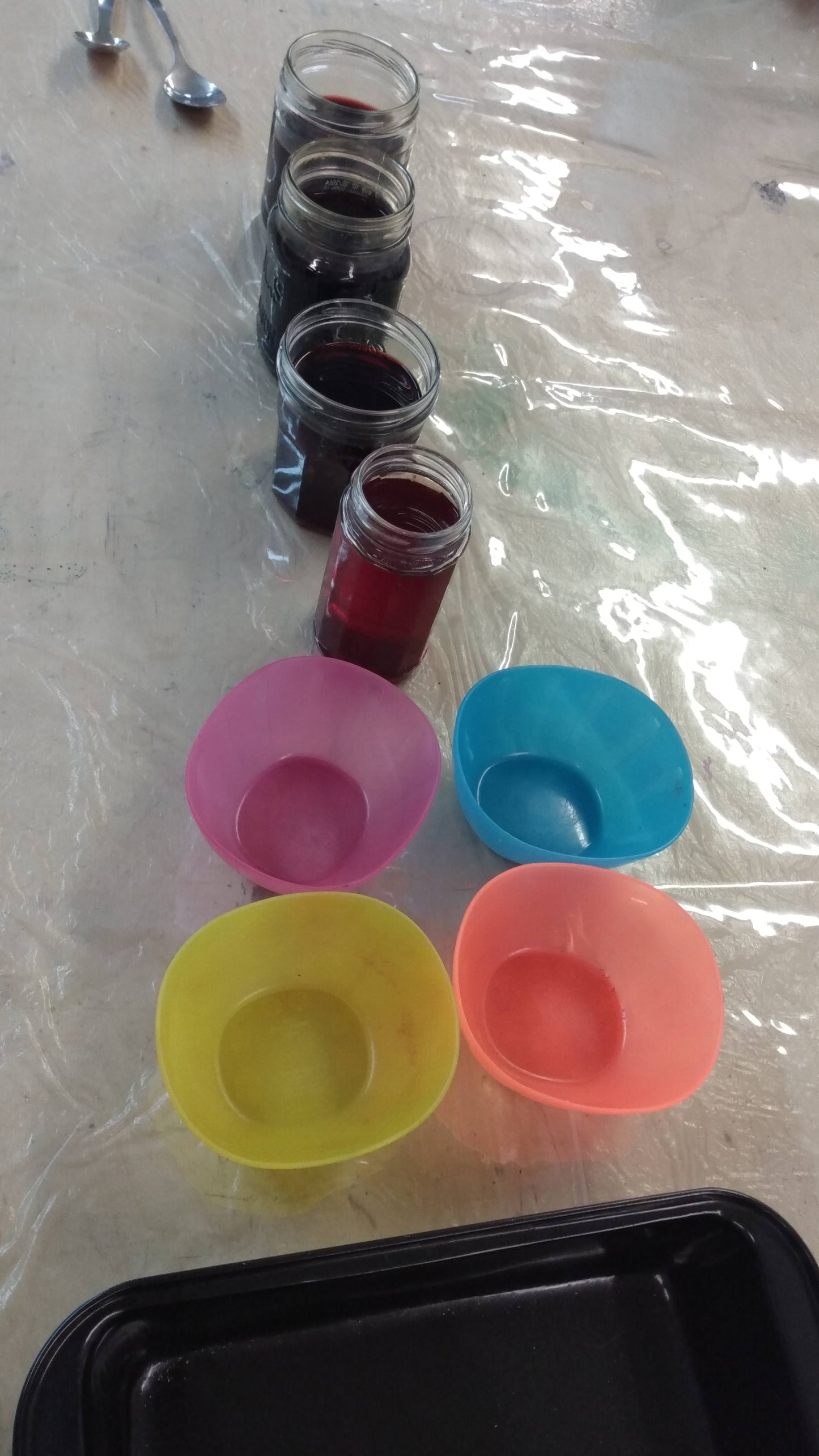 Intensive Natural Dyes Workshop; 2 day Series