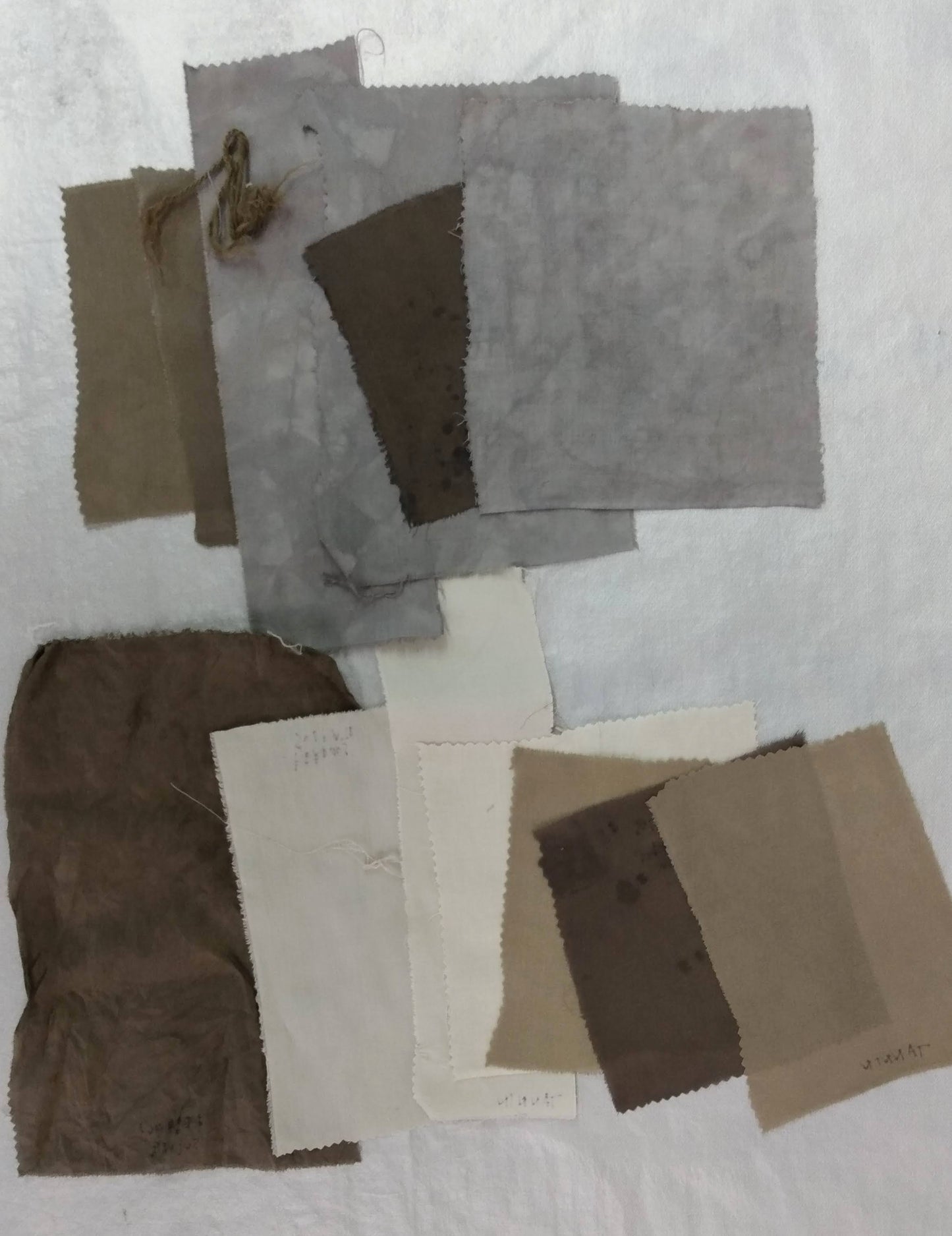 Intensive Natural Dyes Workshop; 2 day Series