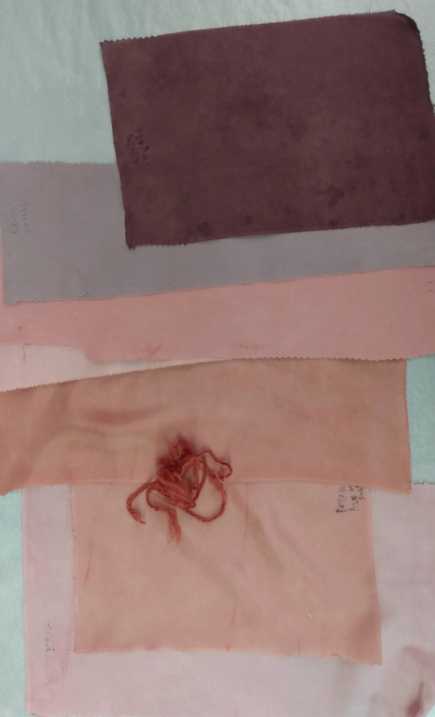 Intensive Natural Dyes Workshop; 2 day Series