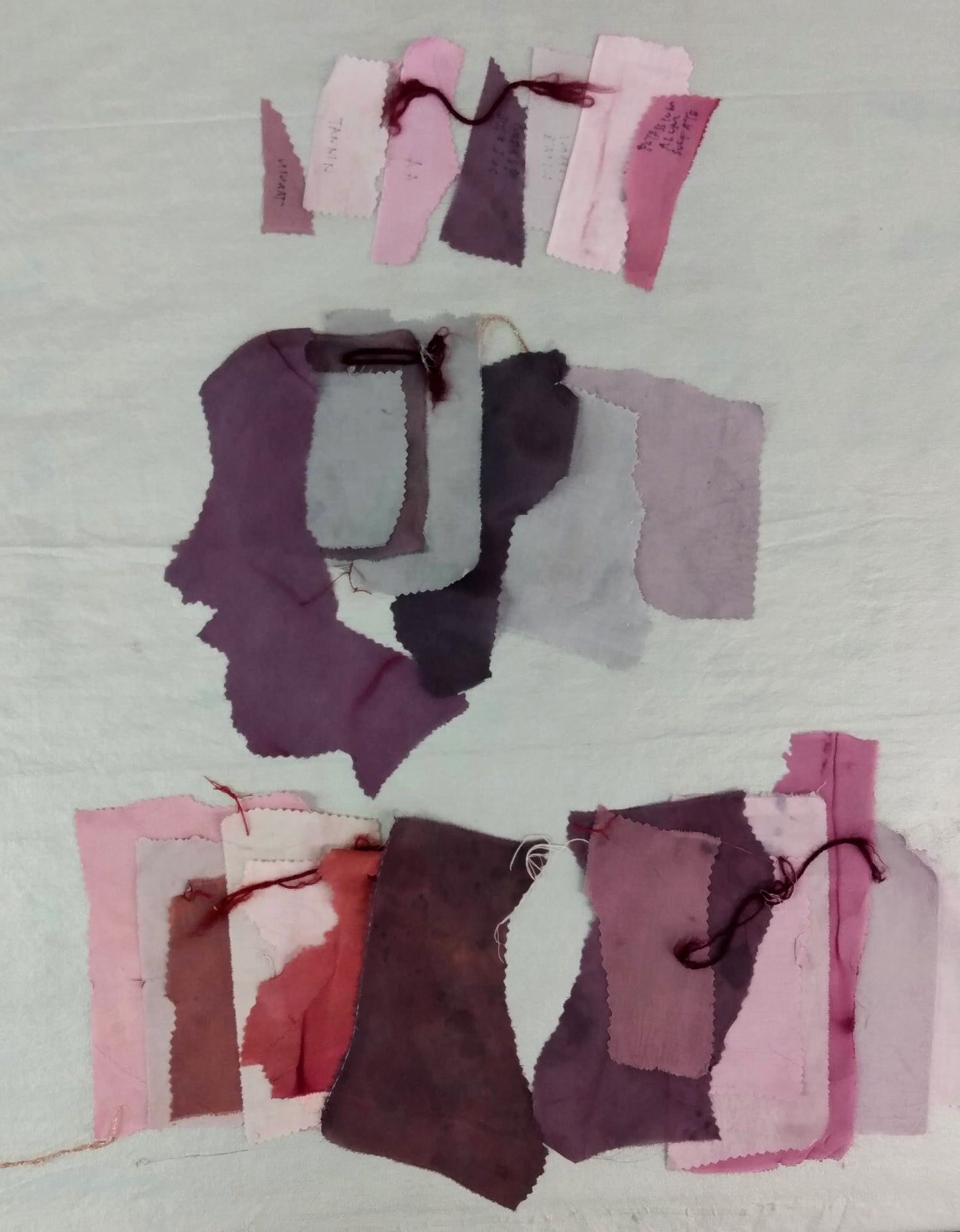 Intensive Natural Dyes Workshop; 2 day Series