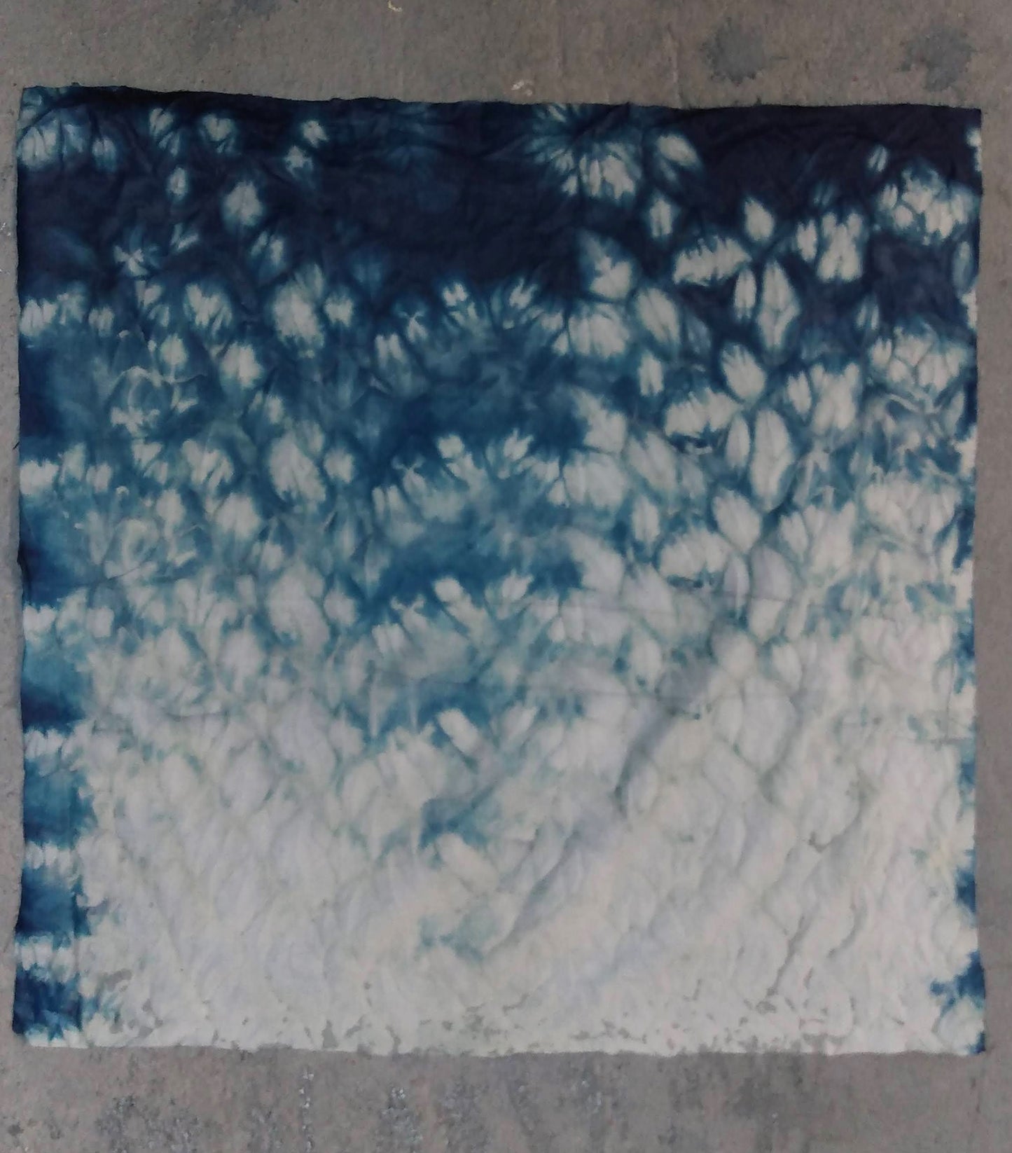 Exploring Indigo, Shibori and other Resists, 2 Session Workshop Intensive