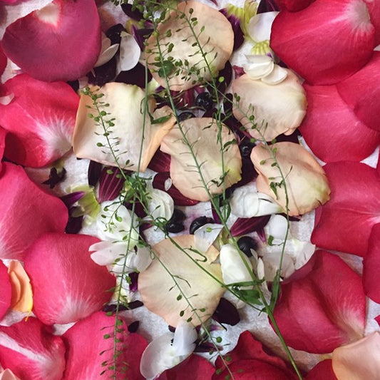 Bundle Dyeing Private Event