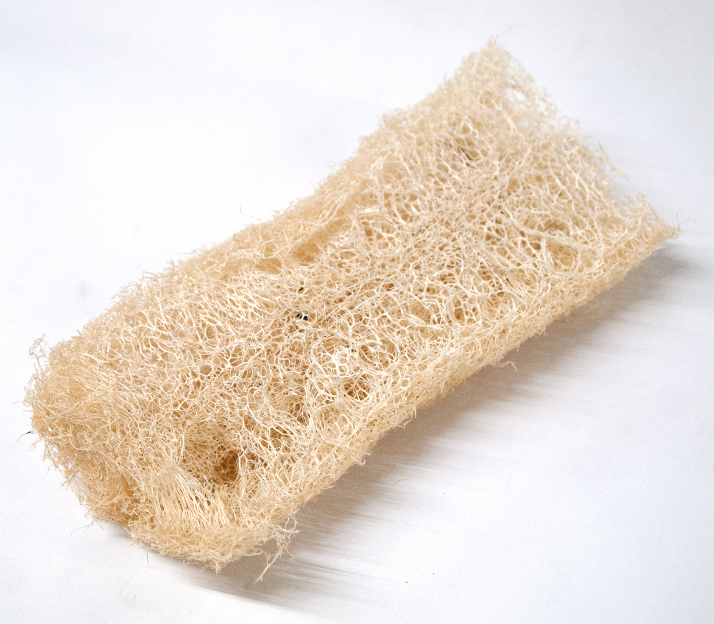 Loofah Sponge