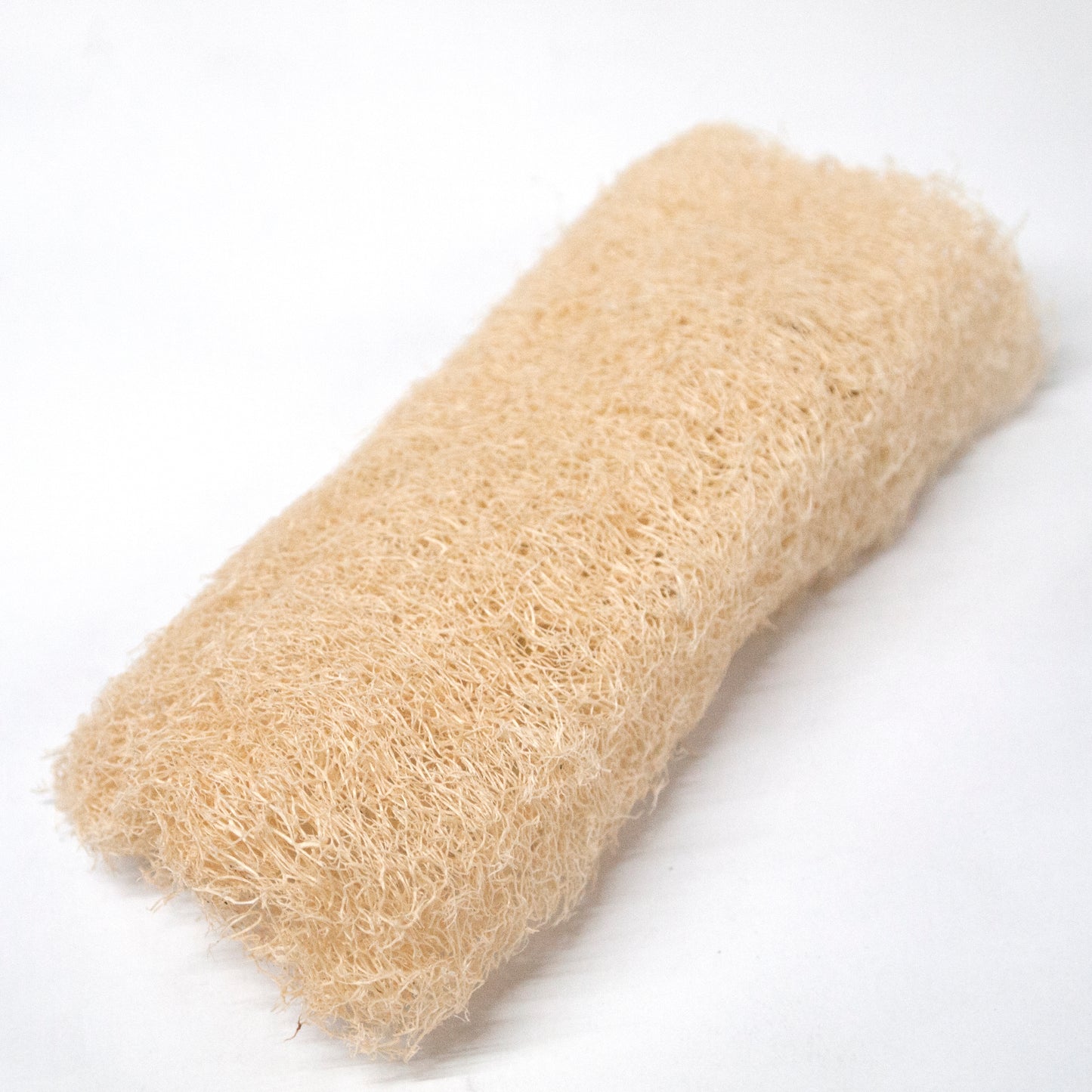 Loofah Sponge
