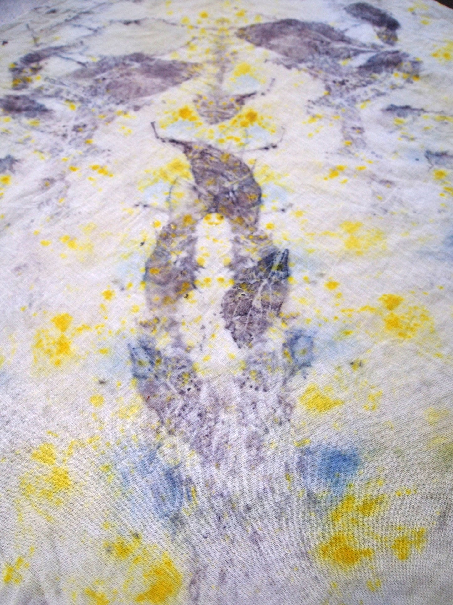 Dyeing with Nature Workshop