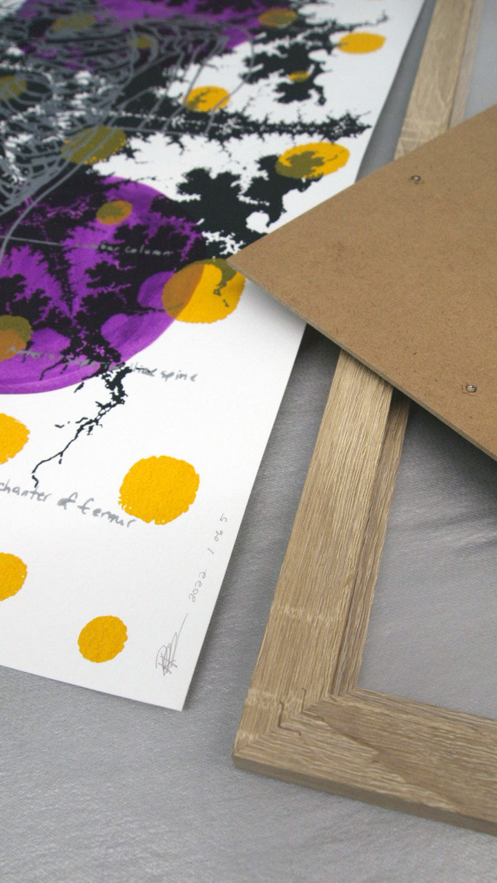 Silver Skeleton with Ochre Screenprint on Paper 18" x 24"