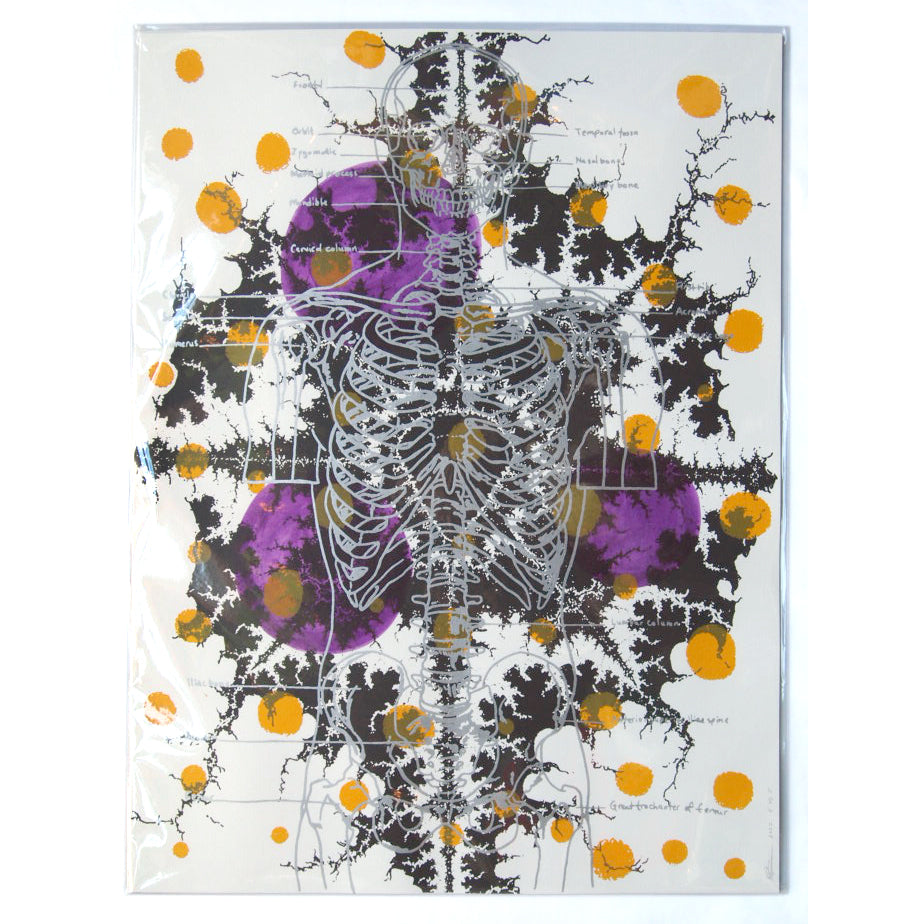 Silver Skeleton with Ochre Screenprint on Paper 18" x 24"