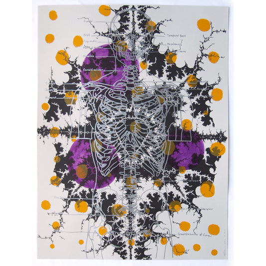Silver Skeleton with Ochre Screenprint on Paper 18" x 24"