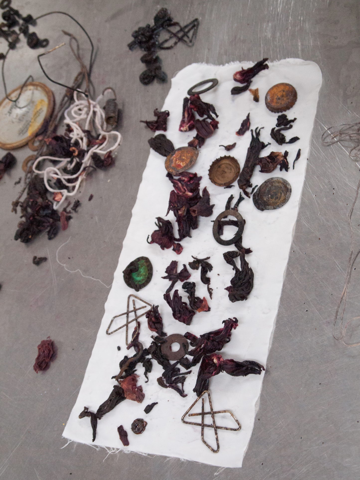 Bundle Dyeing with Floral, Fauna, Food, and Rust