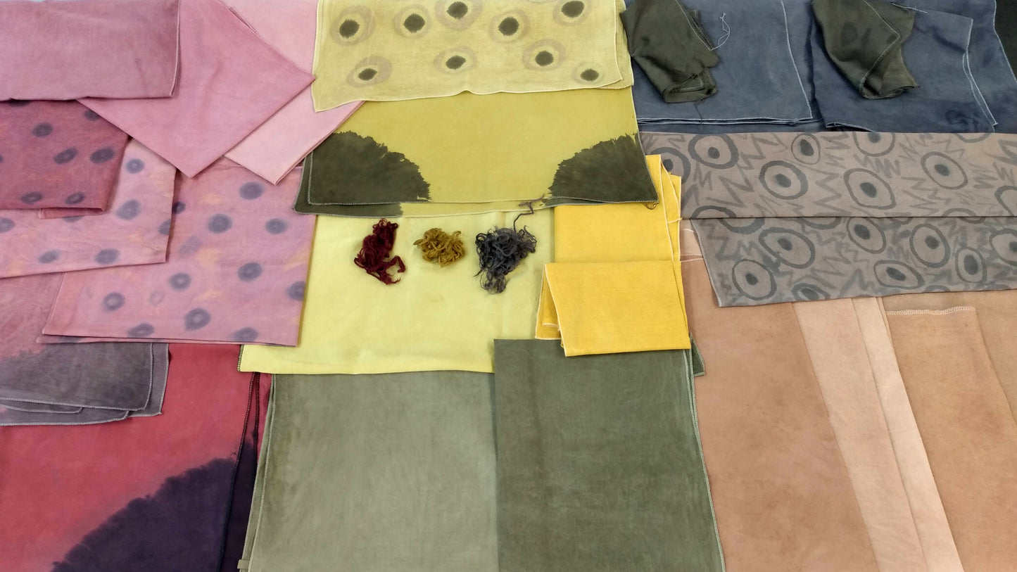 VIRTUAL Natural Dyes Intensive Workshop