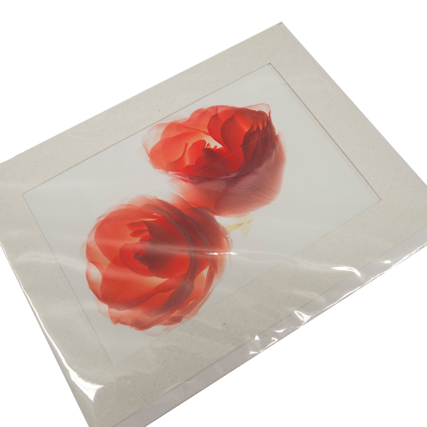 Two Roses Photograph Card