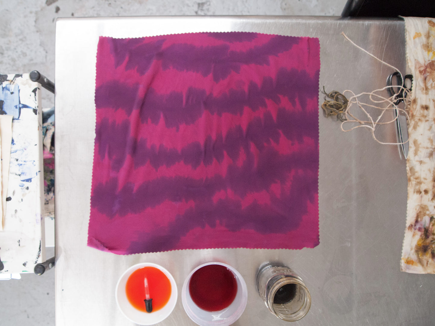 Dyeing with Nature Workshop