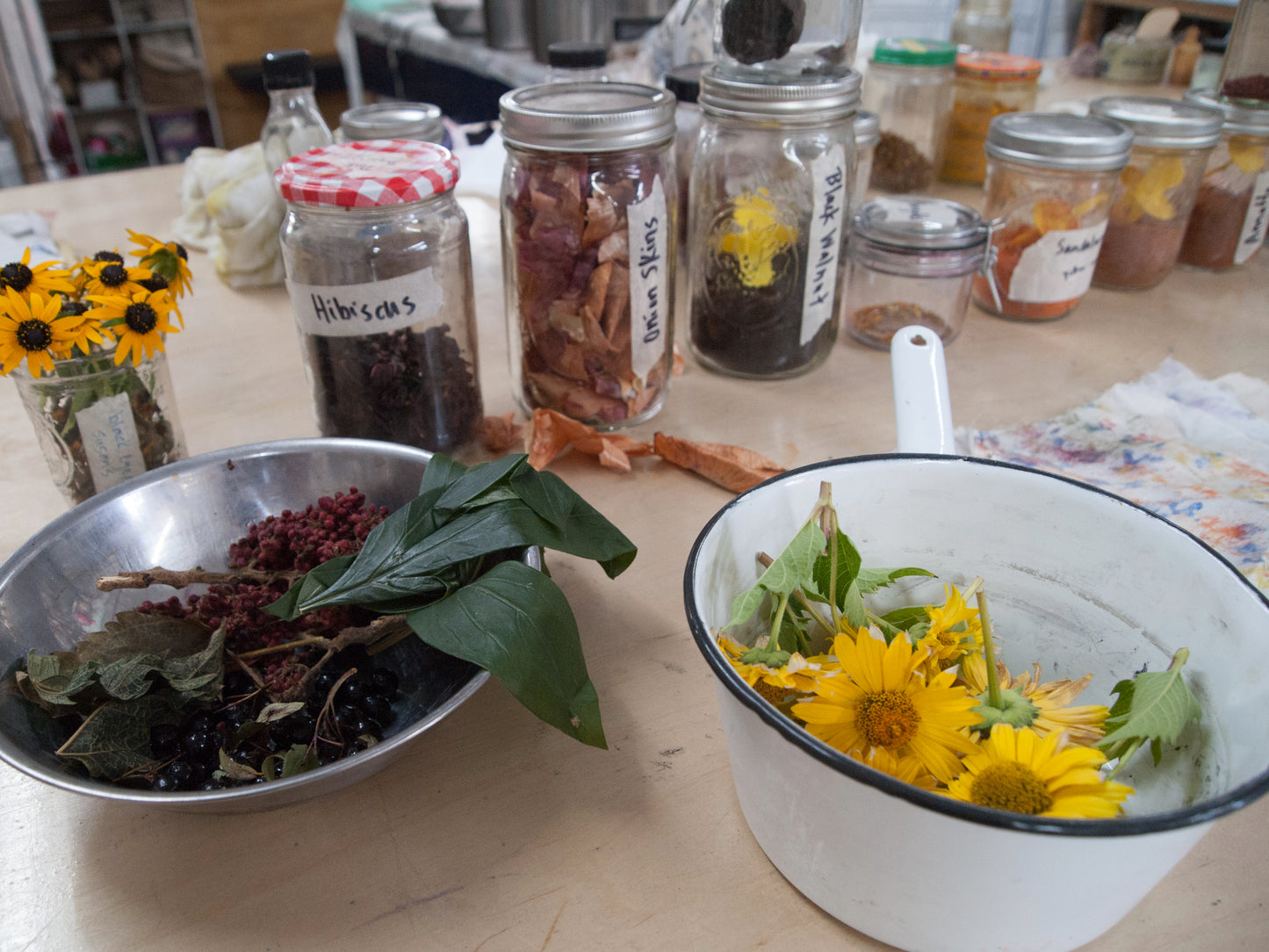Dyeing with Nature Workshop