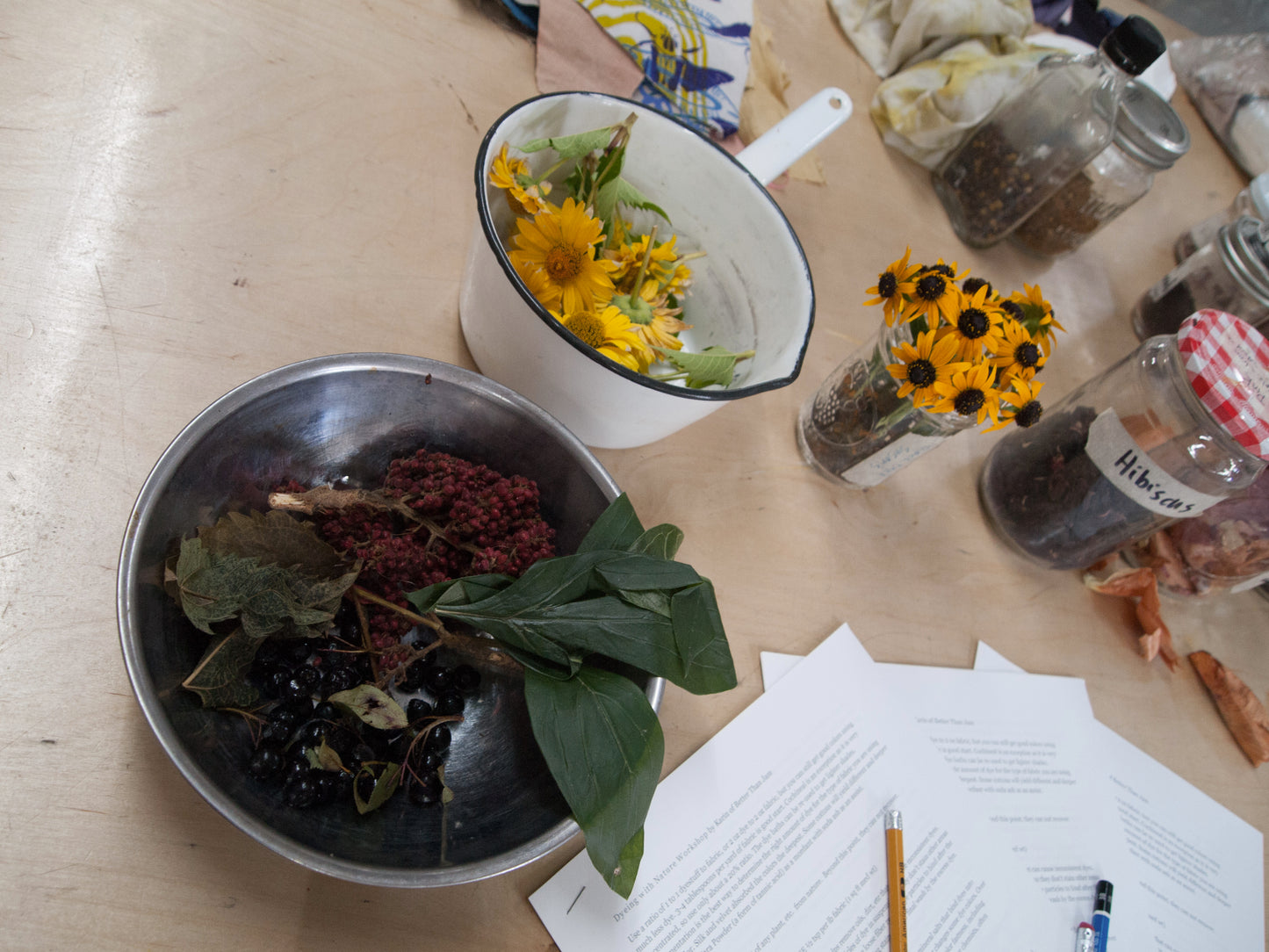 Bundle Dyeing with Floral, Fauna, Food, and Rust