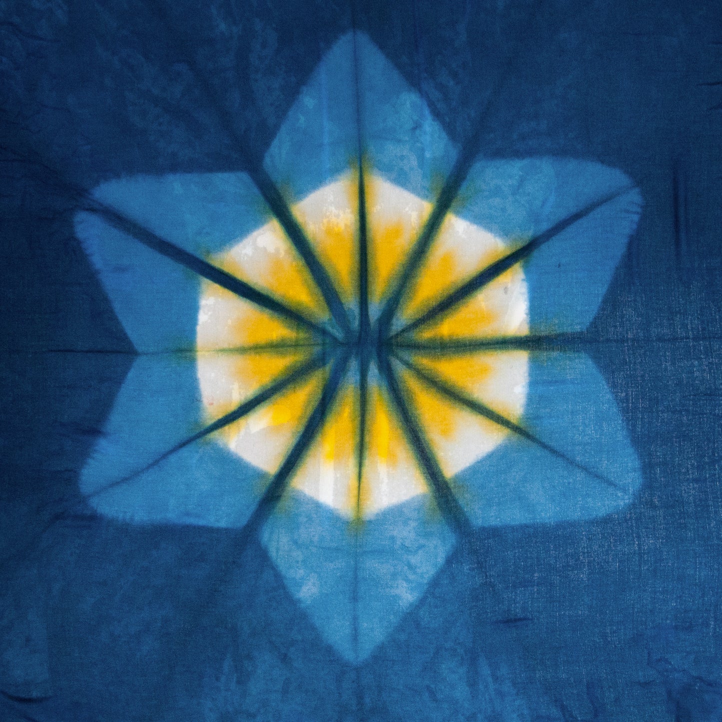 Intermediate Shibori with Color Workshop