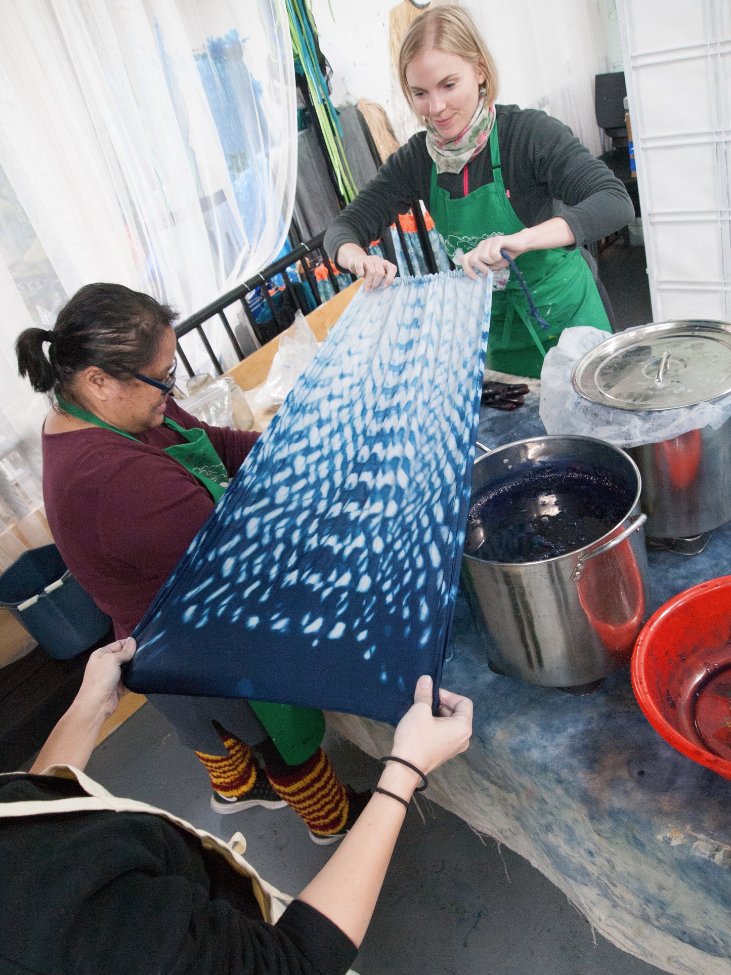 Exploring Indigo, Shibori and other Resists, 2 Session Workshop Intensive