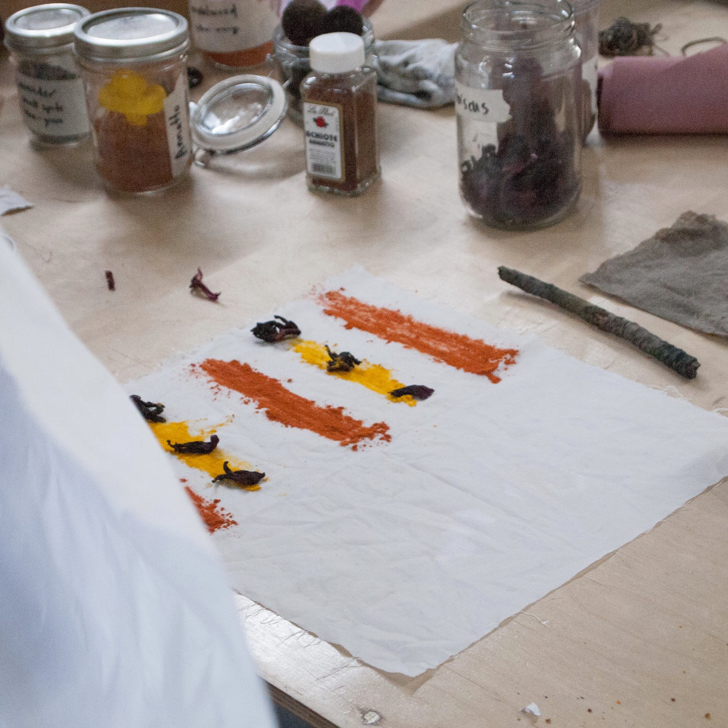 Bundle Dyeing with Floral, Fauna, Food, and Rust