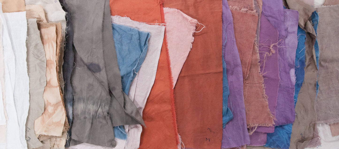 Intensive Natural Dyes Workshop; 2 day Series