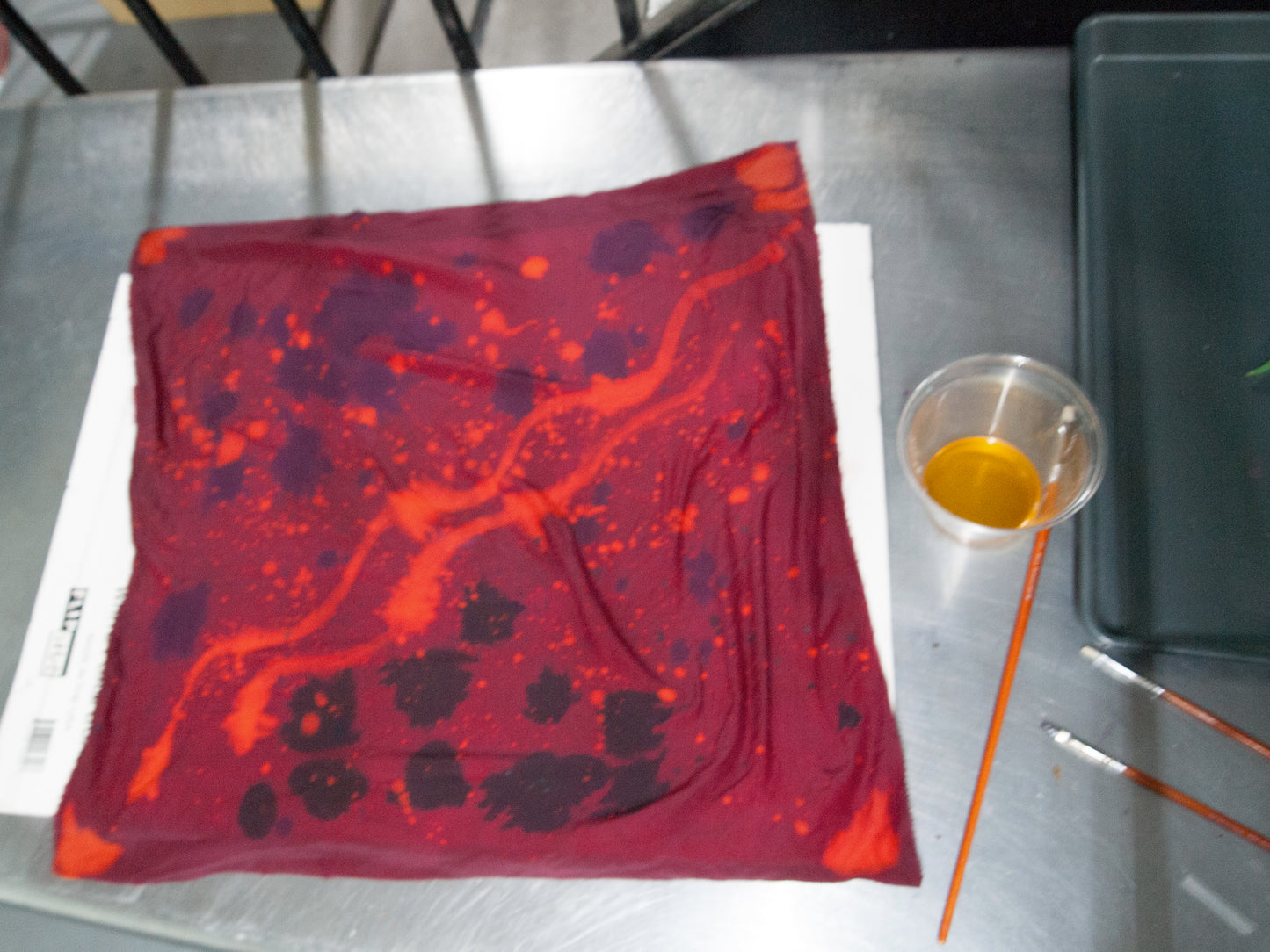 Dyeing with Nature Workshop