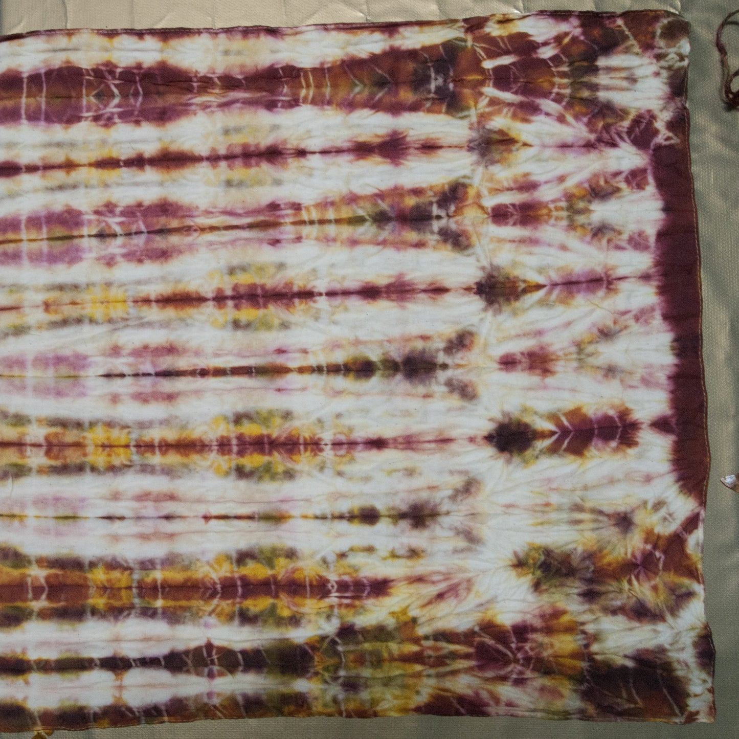 Dyeing with Nature Workshop